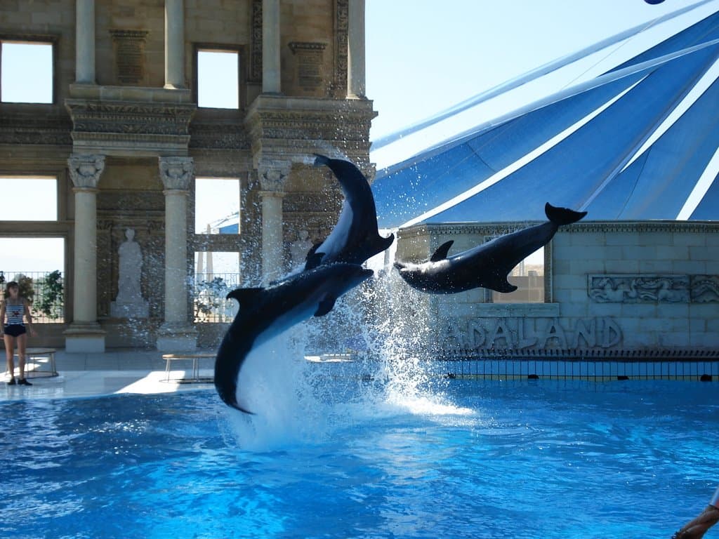 Bright twisting waterslides curving above a sunny aquapark pool.