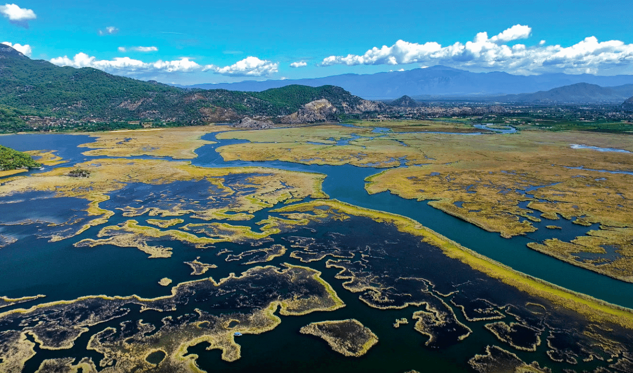 Dalyan Tour
