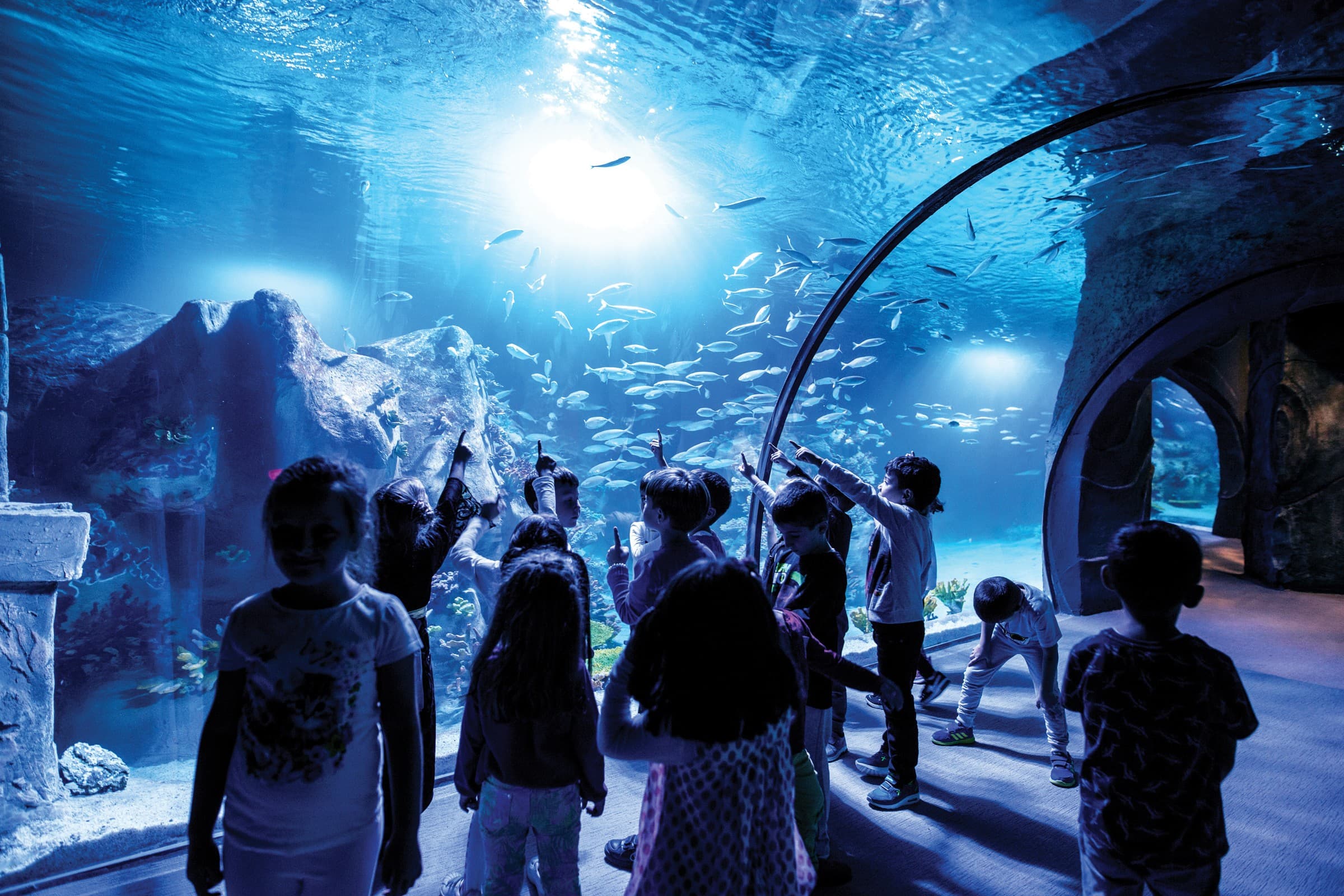 Funtastic Aquarium İzmir
