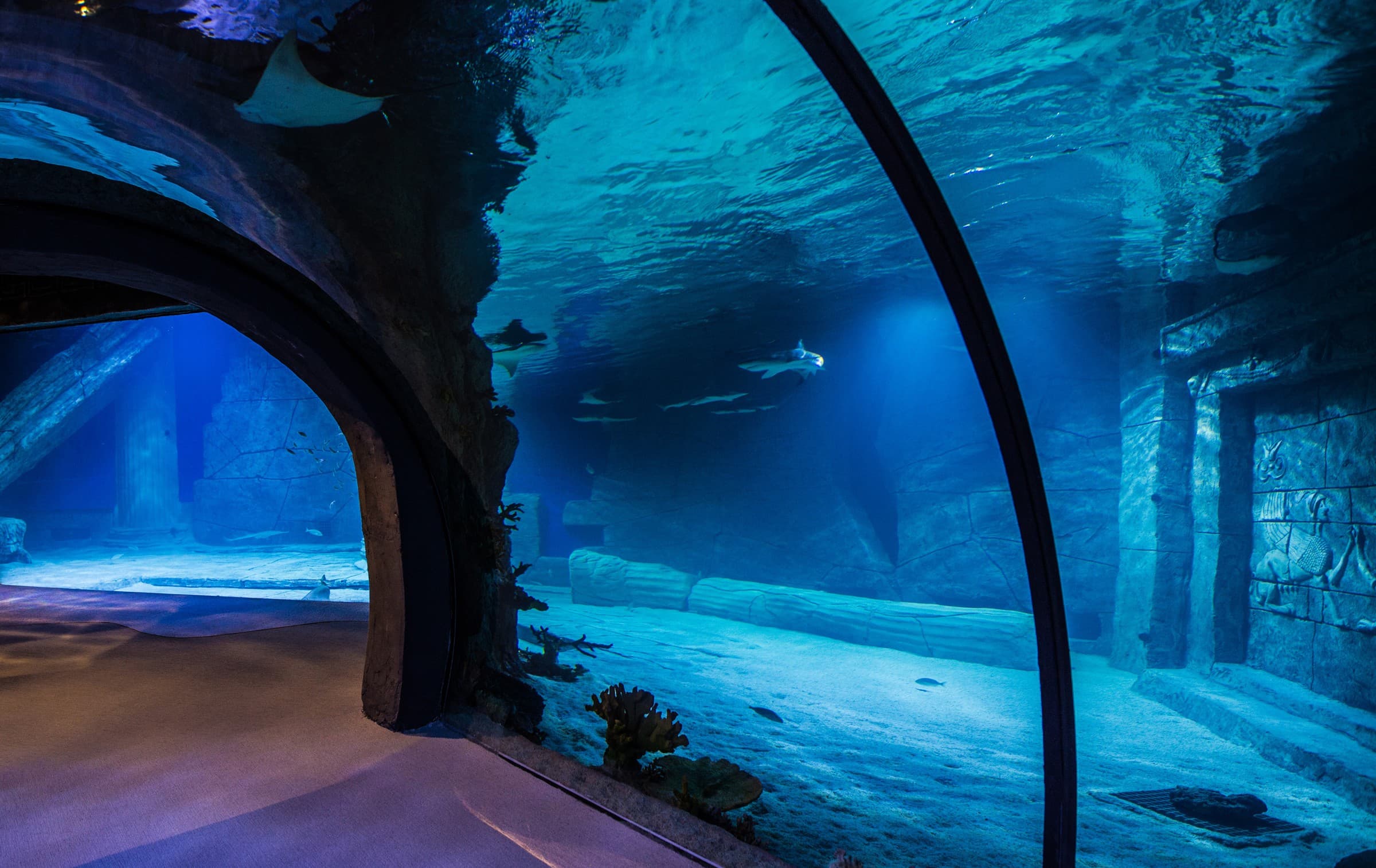 Funtastic Aquarium İzmir