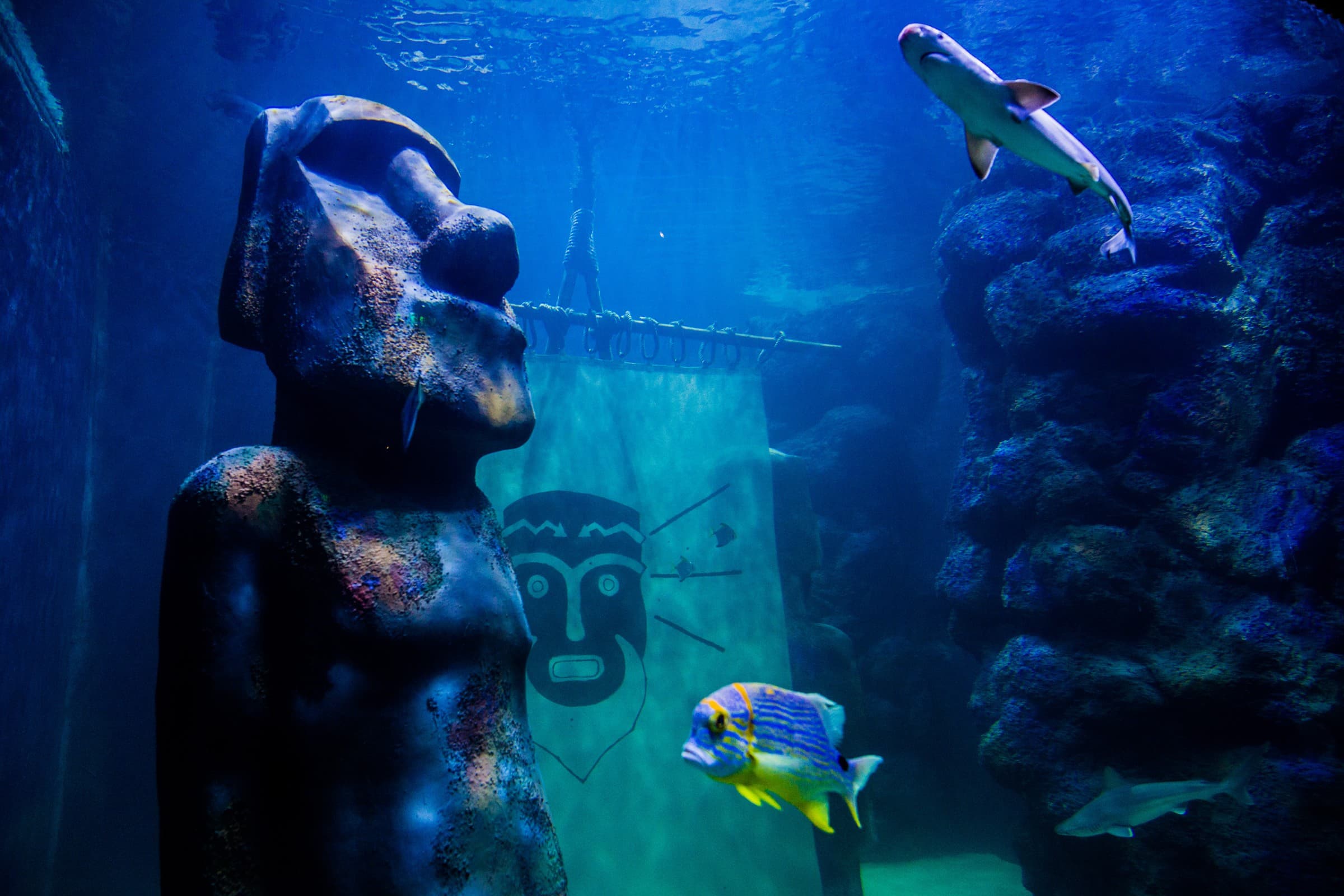 Funtastic Aquarium İzmir