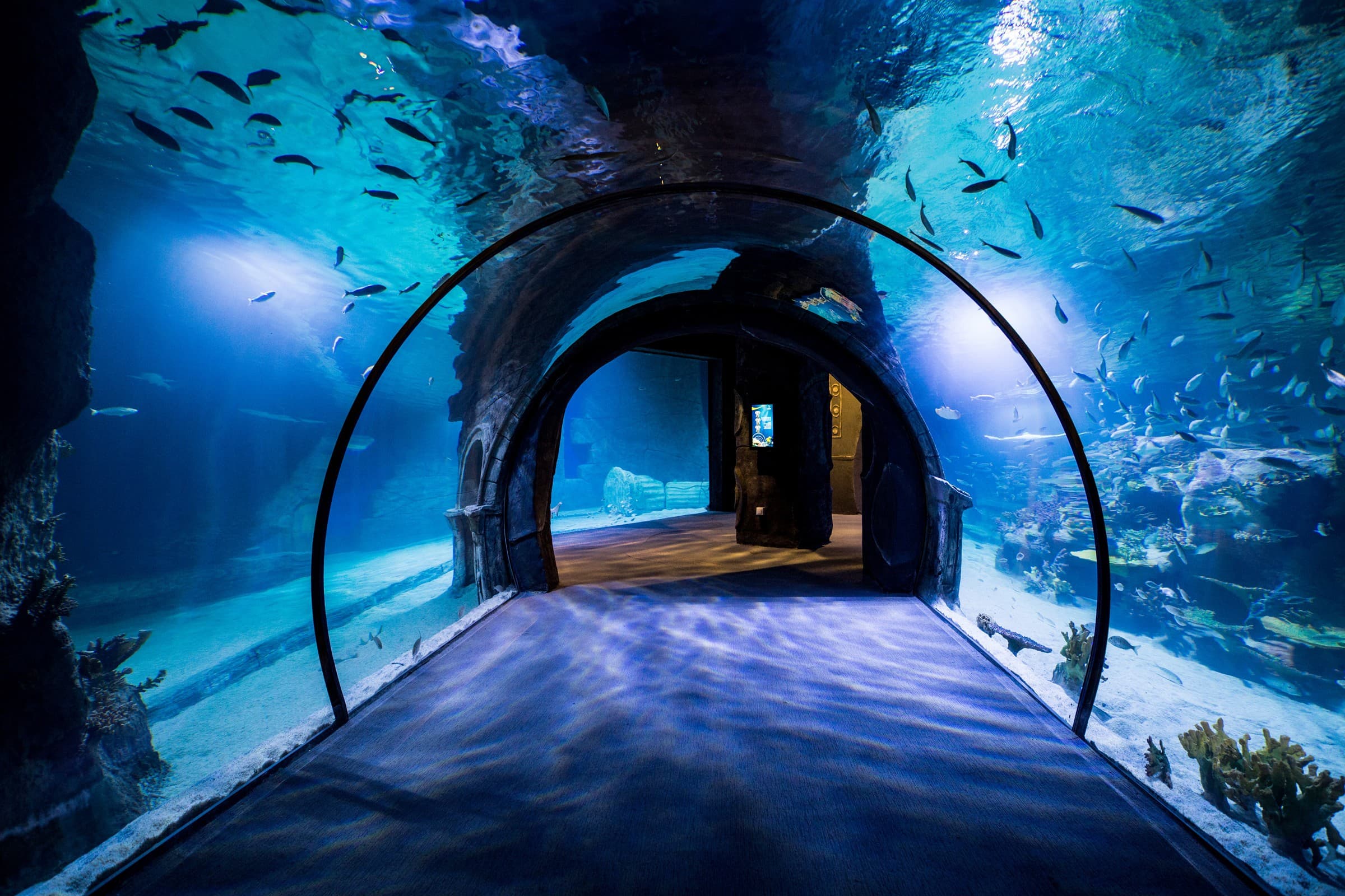 Funtastic Aquarium İzmir