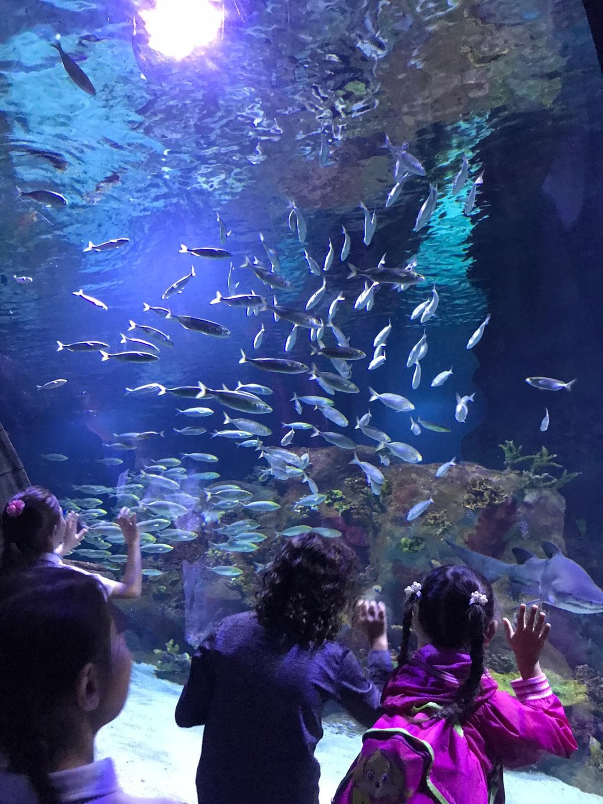 Funtastic Aquarium İzmir