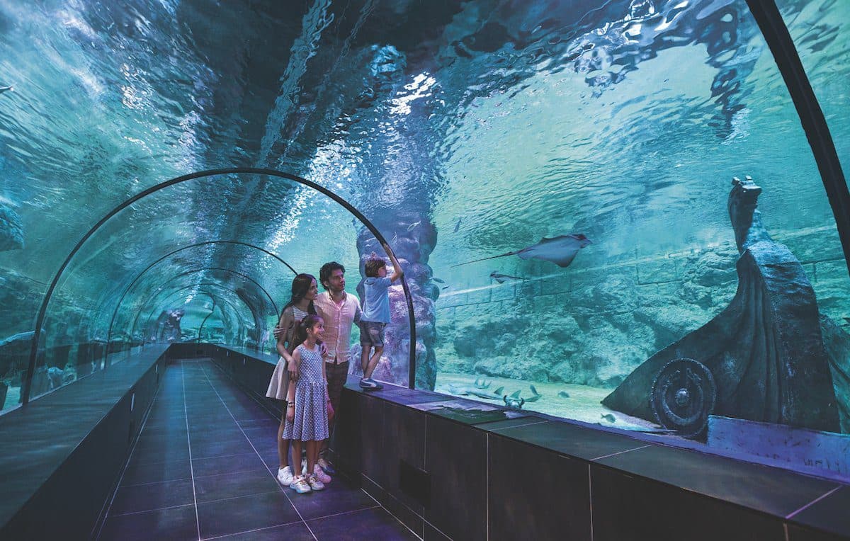 Funtastic Aquarium İzmir