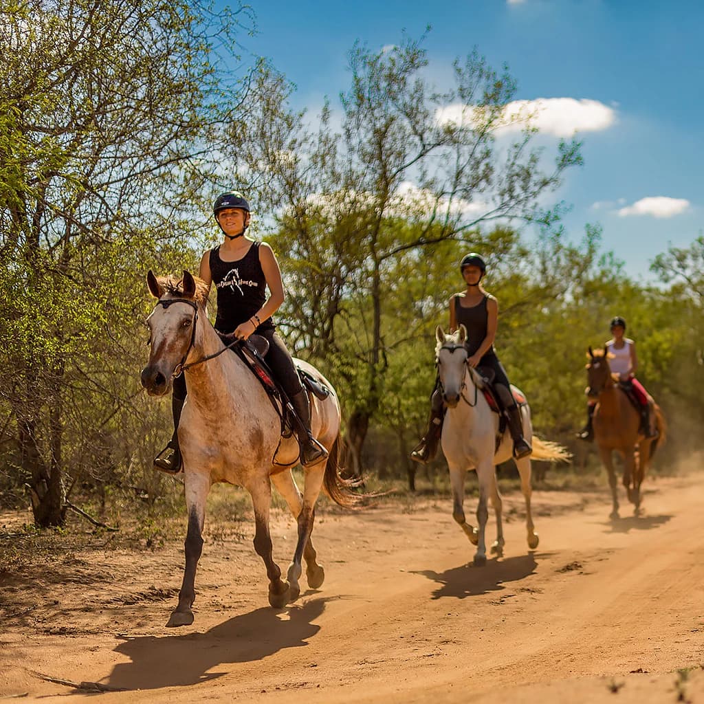 Riders on horseback following a coastal trail at sunset above the Aegean.