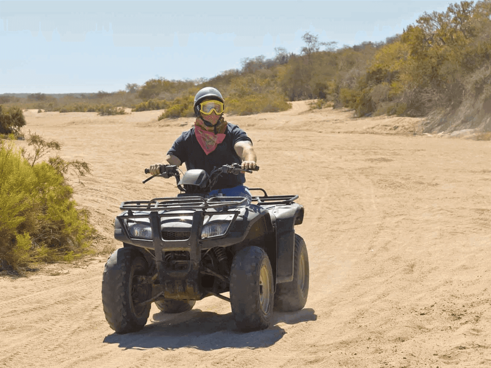 A line of ATV quad bikes ready to head off-road through the pine forests above Kusadasi.