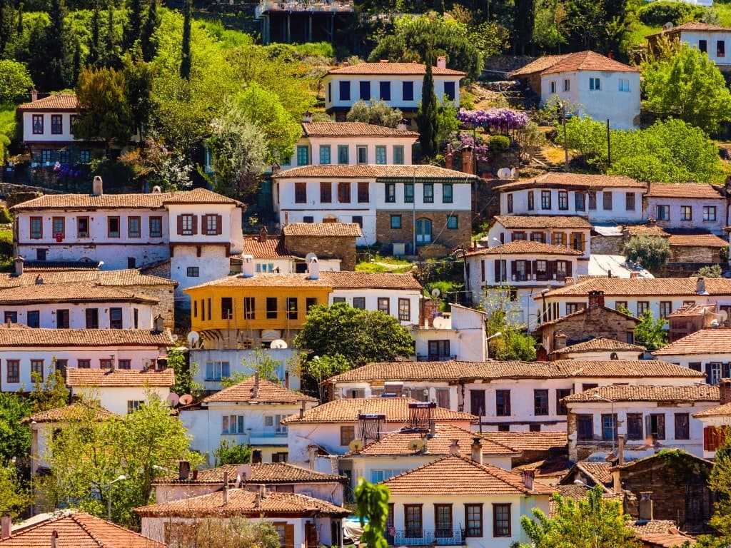 Stone houses of Sirince village with vineyards on the slopes.
