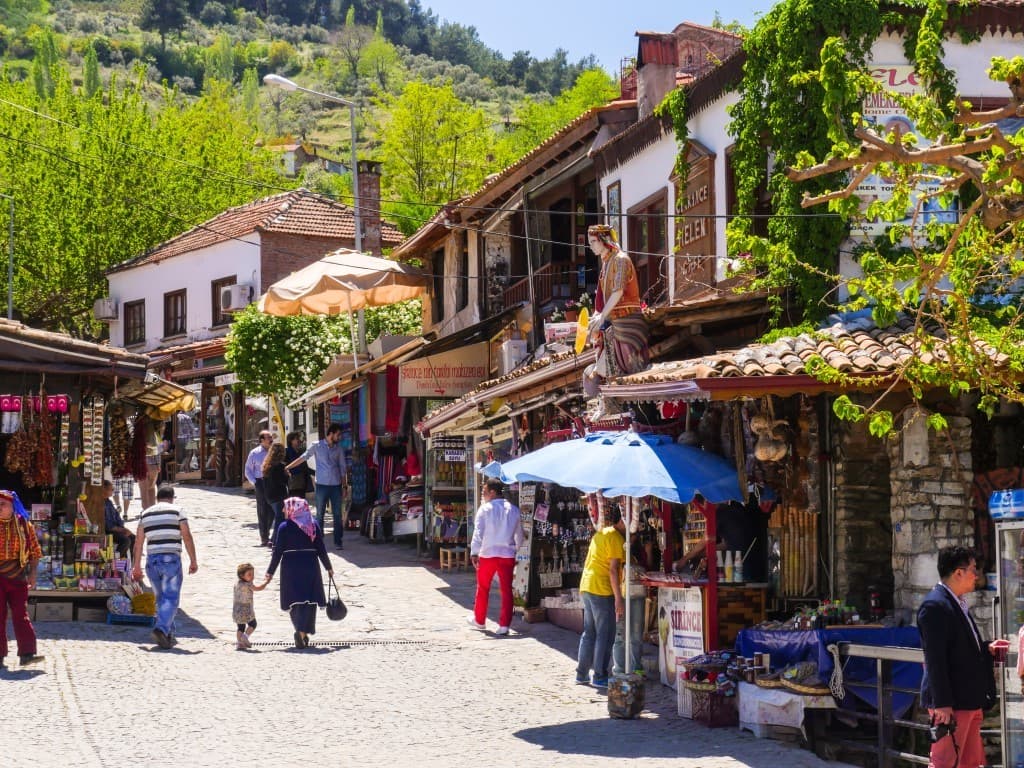 Stone houses of Sirince village with vineyards on the slopes.
