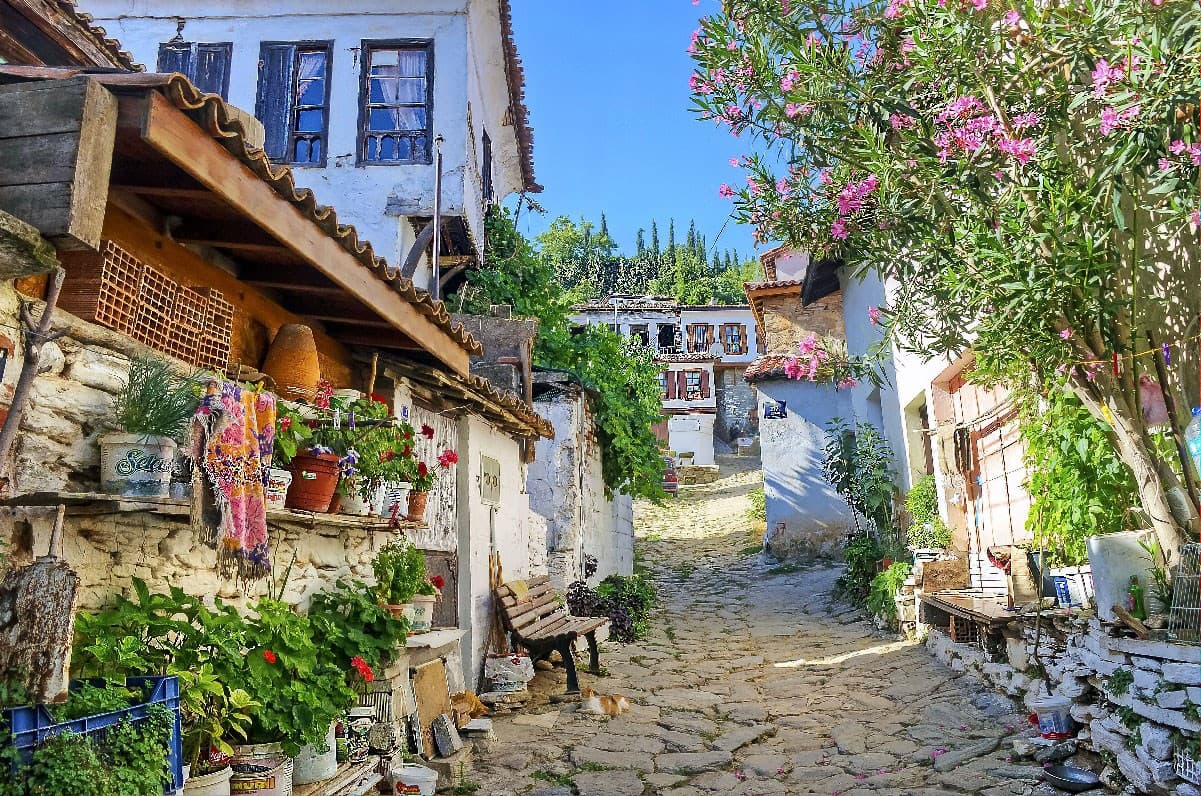 Stone houses of Sirince village with vineyards on the slopes.